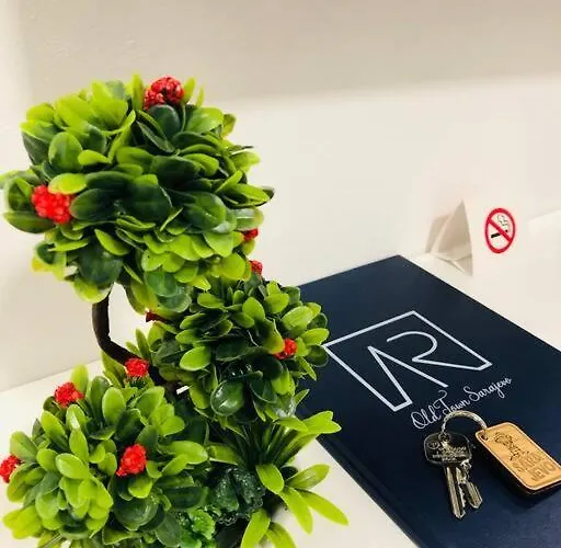 In Old Town - Terrace View شقة سراييفو